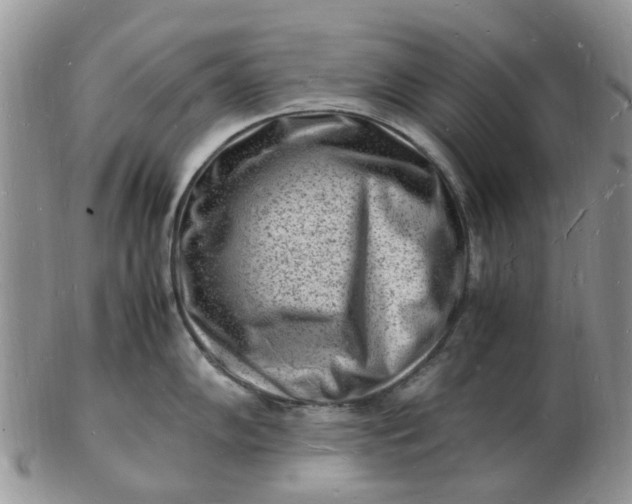 X0000102781102200809021046