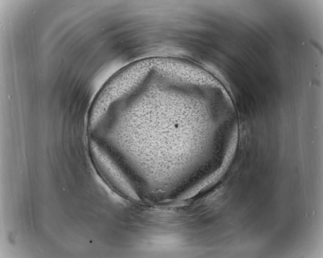 X0000102781103200809021046