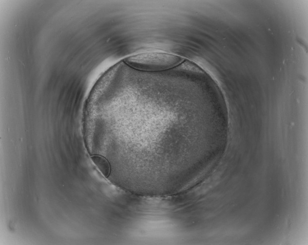 X0000102781104200809021046