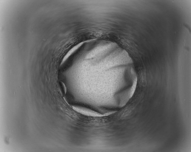 X0000102781105200809021046