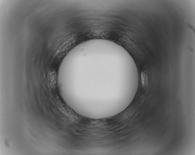 X0000102781107200809021046