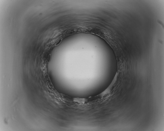 X0000102781109200809021046