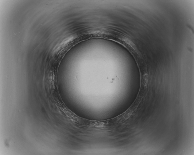 X0000102781111200809021046