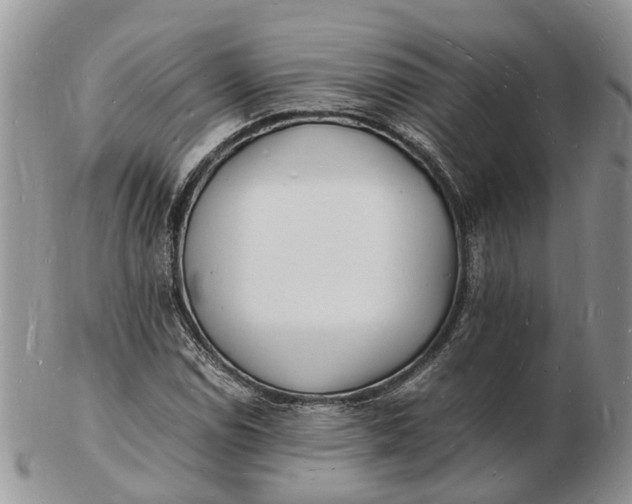 X0000102781114200809021046