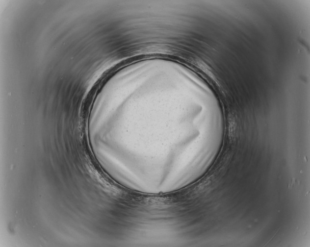 X0000102781116200809021046