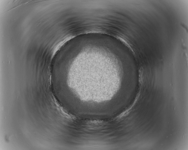 X0000102781117200809021046