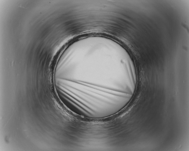 X0000102781118200809021046