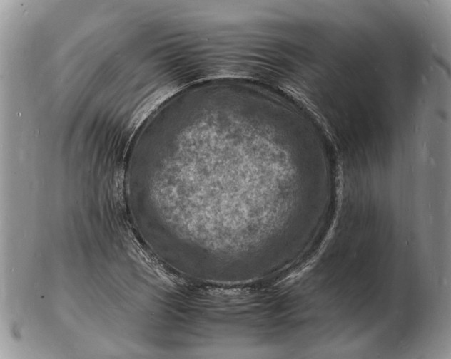 X0000102781121200809021046