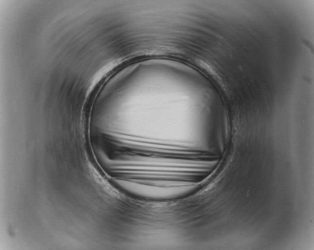 X0000102781122200809021046