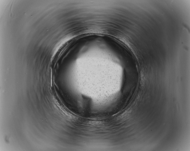 X0000102781123200809021046