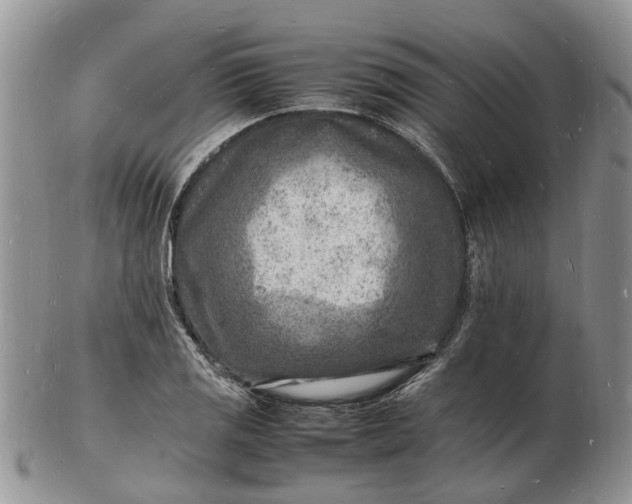 X0000102781125200809021046