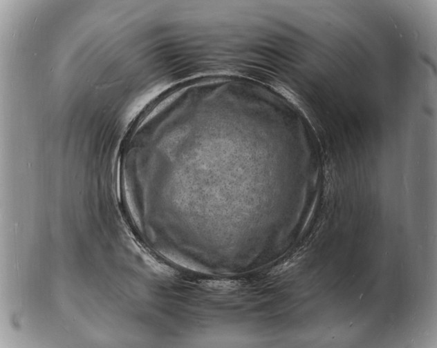 X0000102781127200809021046