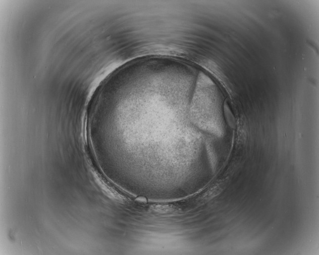 X0000102781128200809021046