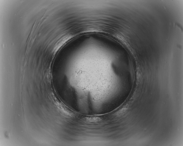 X0000102781129200809021046