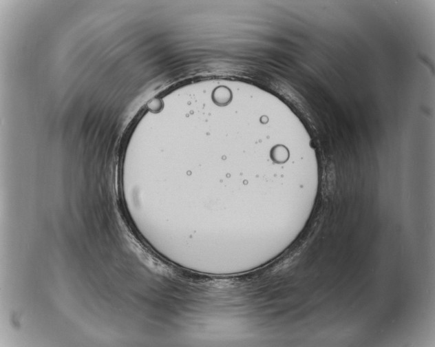 X0000102781130200809021046