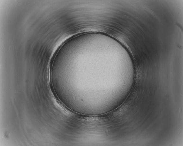 X0000102781132200809021046