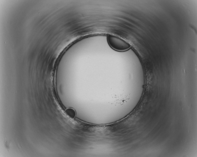 X0000102781134200809021046