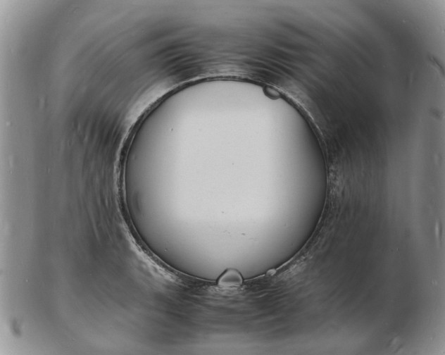 X0000102781135200809021046