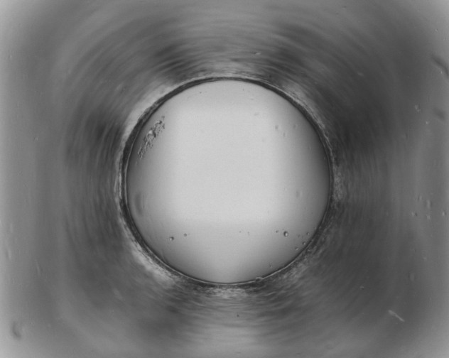 X0000102781136200809021046