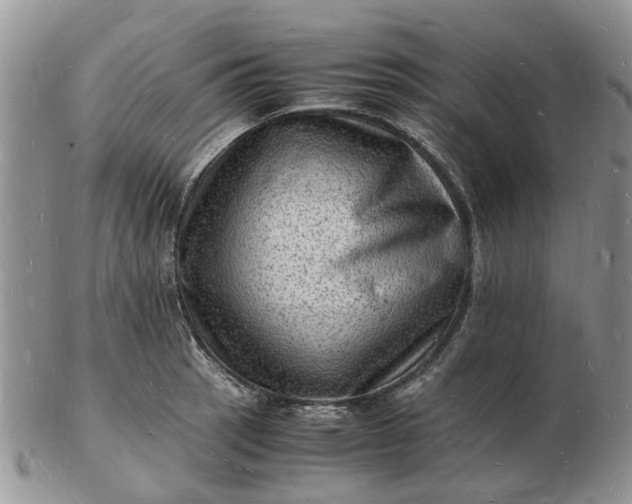 X0000102781137200809021046