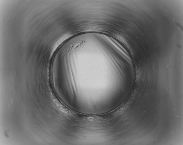 X0000102781138200809021046