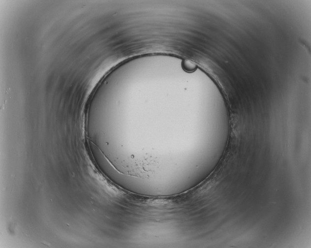 X0000102781140200809021046