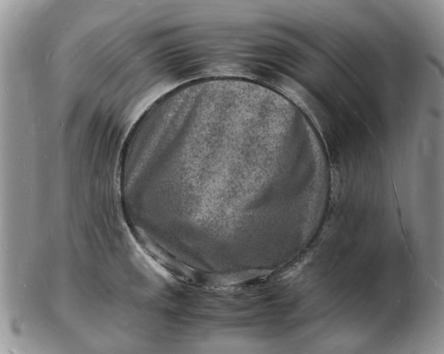 X0000102781141200809021046