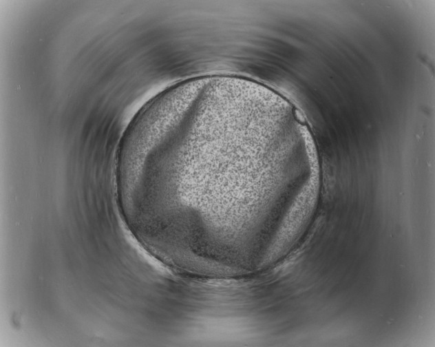 X0000102781142200809021046