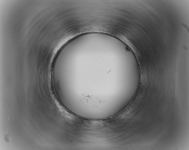 X0000102781144200809021046