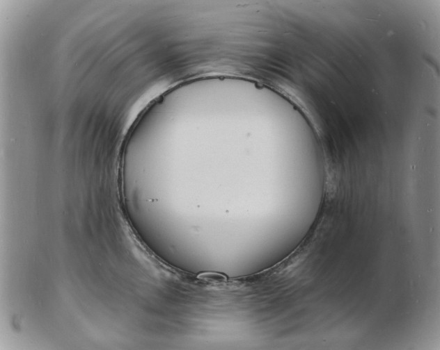 X0000102781146200809021046