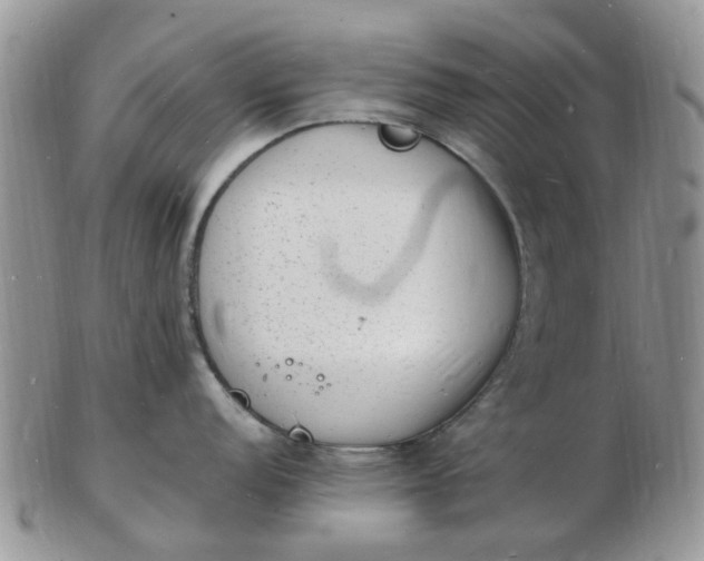 X0000102781152200809021046