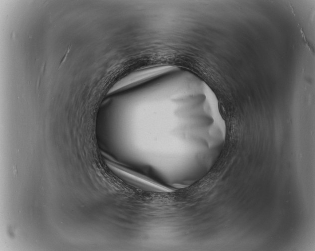 X0000102781153200809021046