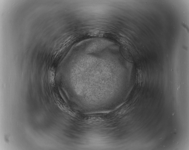 X0000102781154200809021046