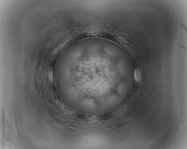 X0000102781155200809021046