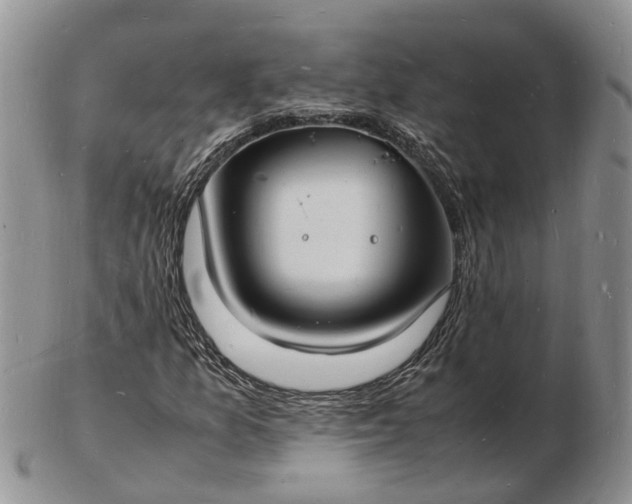 X0000102781157200809021046