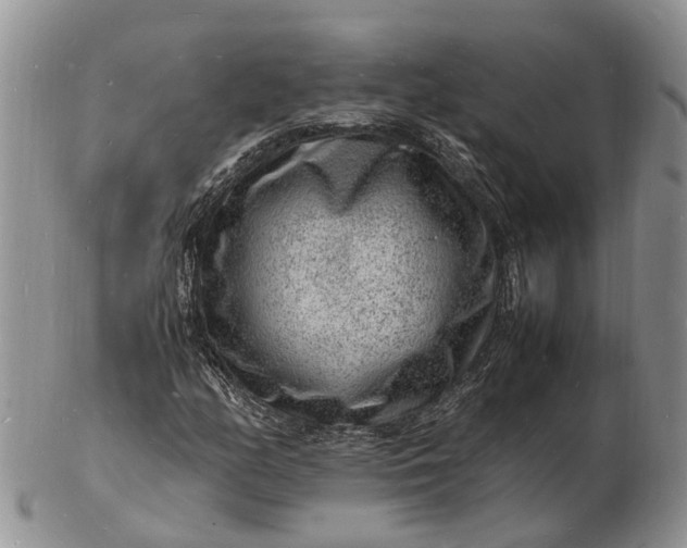 X0000102781158200809021046