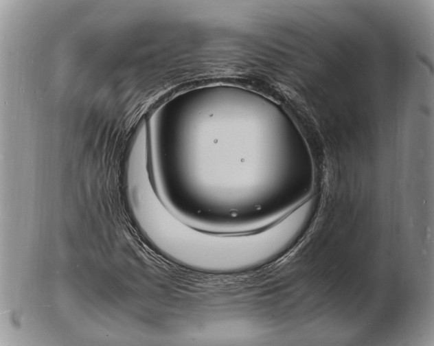 X0000102781161200809021046