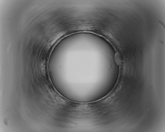 X0000102781162200809021046