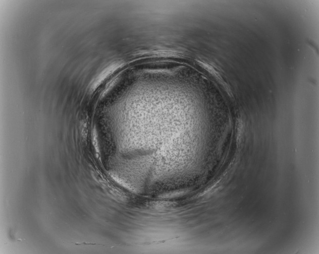 X0000102781163200809021046