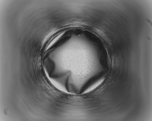 X0000102781164200809021046