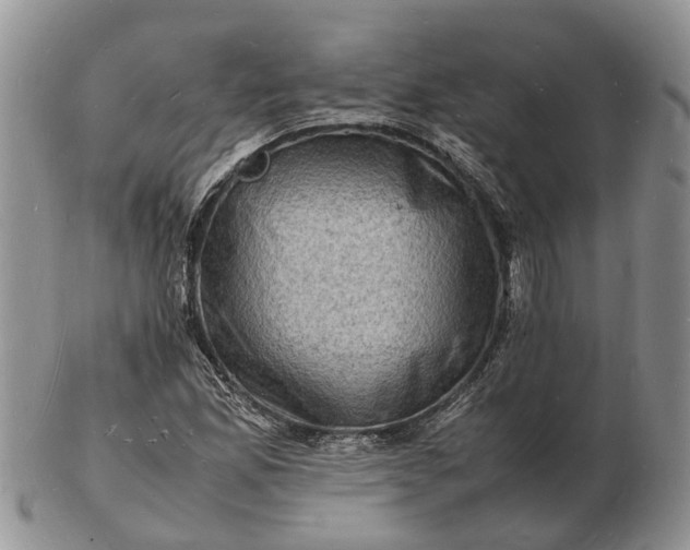 X0000102781165200809021046