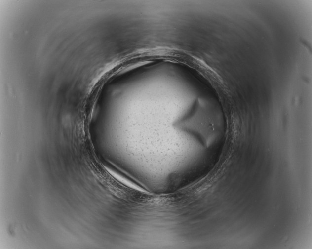 X0000102781166200809021046