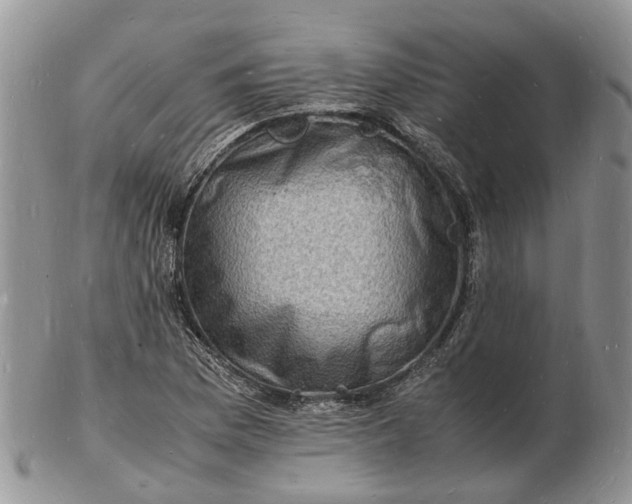 X0000102781169200809021046