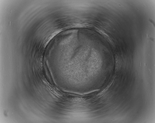 X0000102781170200809021046