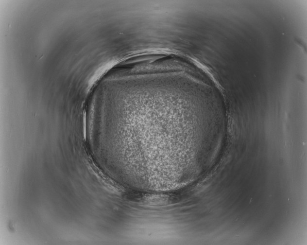 X0000102781171200809021046