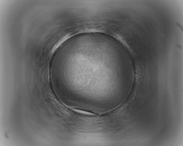 X0000102781173200809021045