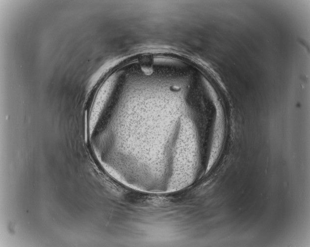 X0000102781175200809021045