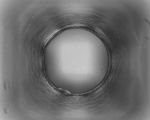 X0000102781177200809021045