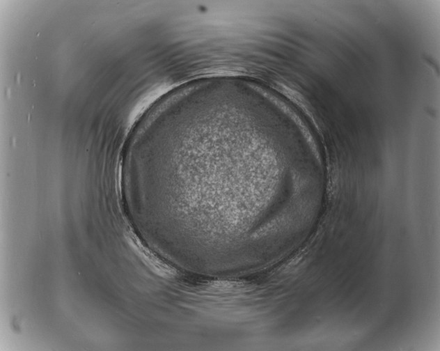 X0000102781179200809021045