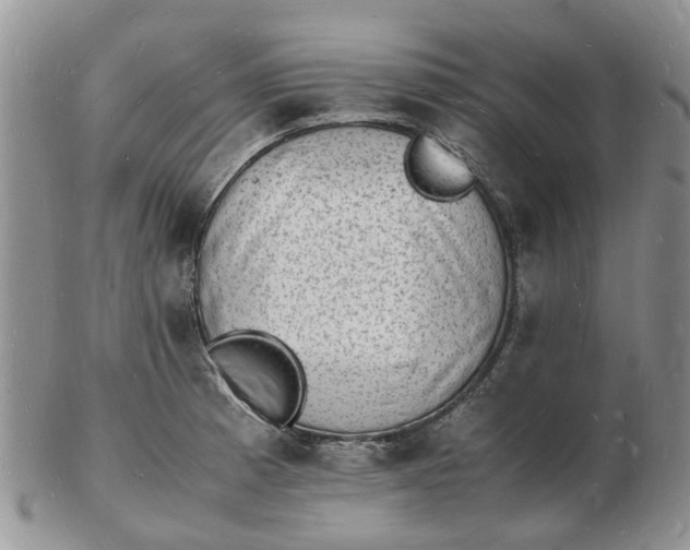 X0000102781185200809021045